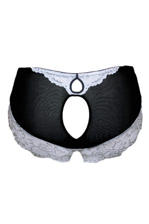 Decadent Fashion Panty - TL9627