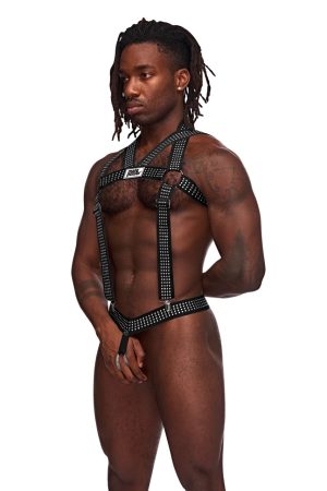 Elastic Studded Harness with Ring - MPPAK892